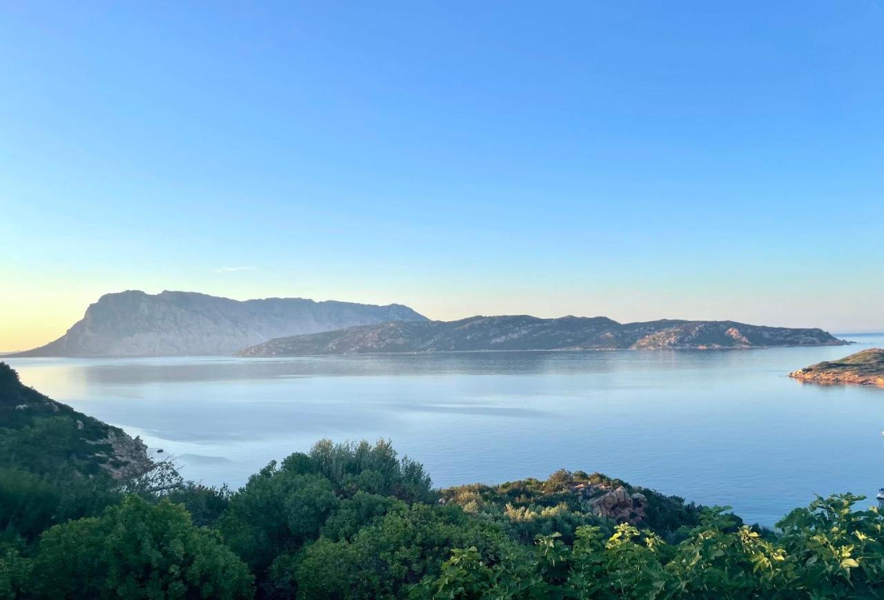 דירות San Teodoro Punta Est Delizioso Monolocale Vista Mare מראה חיצוני תמונה