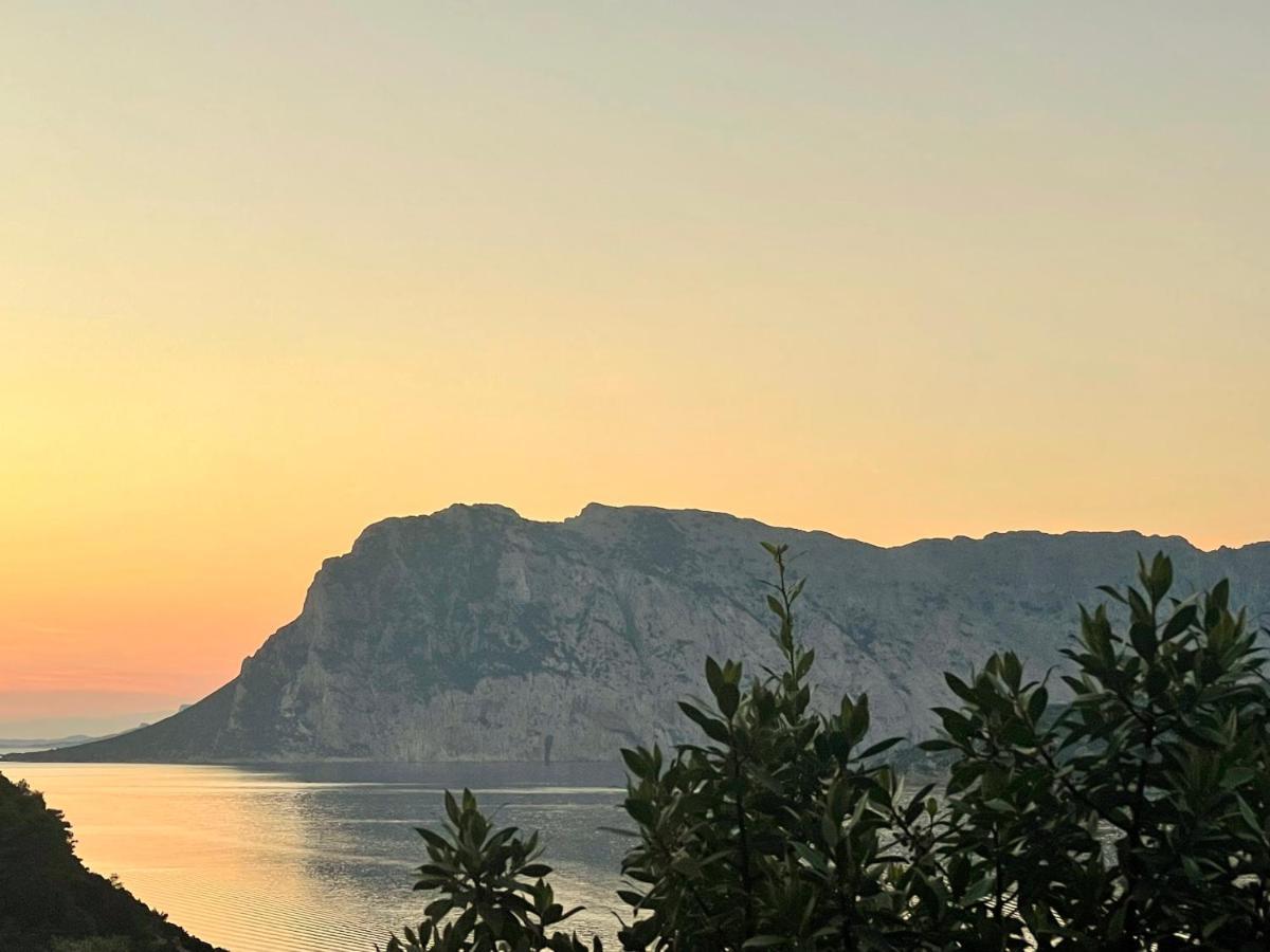 דירות San Teodoro Punta Est Delizioso Monolocale Vista Mare מראה חיצוני תמונה